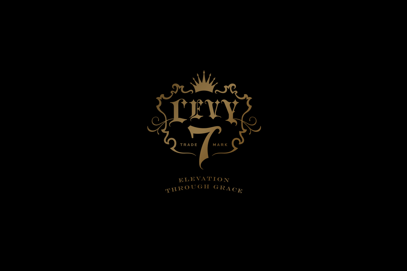 levy-7_logo